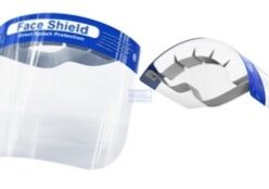 faceshield