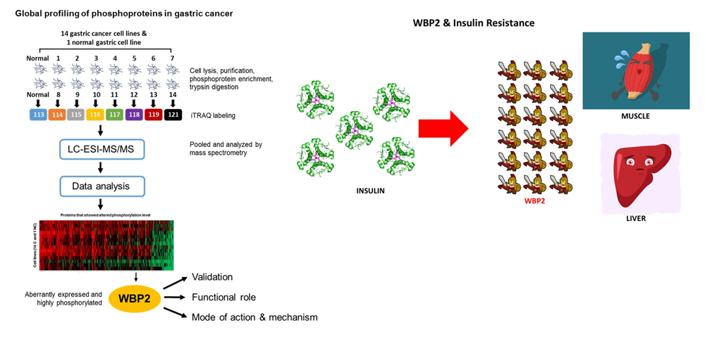 cancer types and metabolic diseases