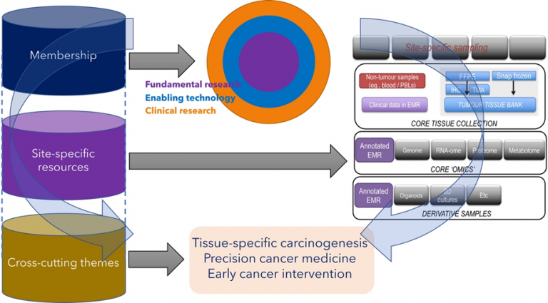 Cancer - Department of Biochemistry – School of Medicine, National ...