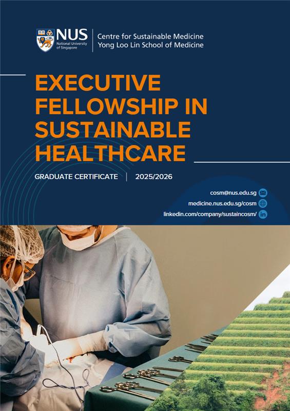 Executive Fellowship in Sustainable Healthcare