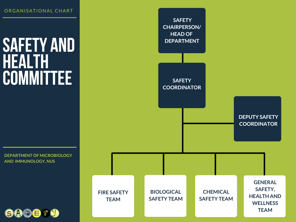 safety committee organisation chart