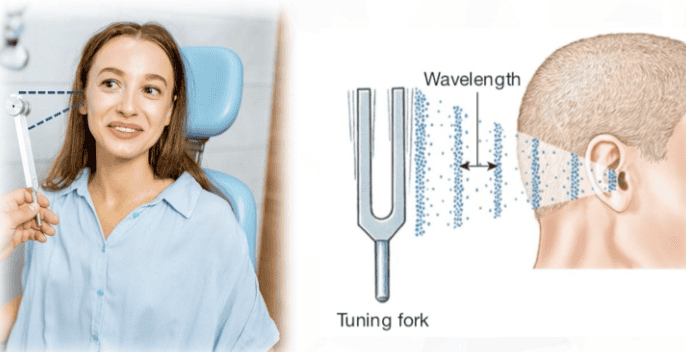 Reference: Silverthorn, Human Physiology, 5th edition, Chapter 10, Figure 10.16 