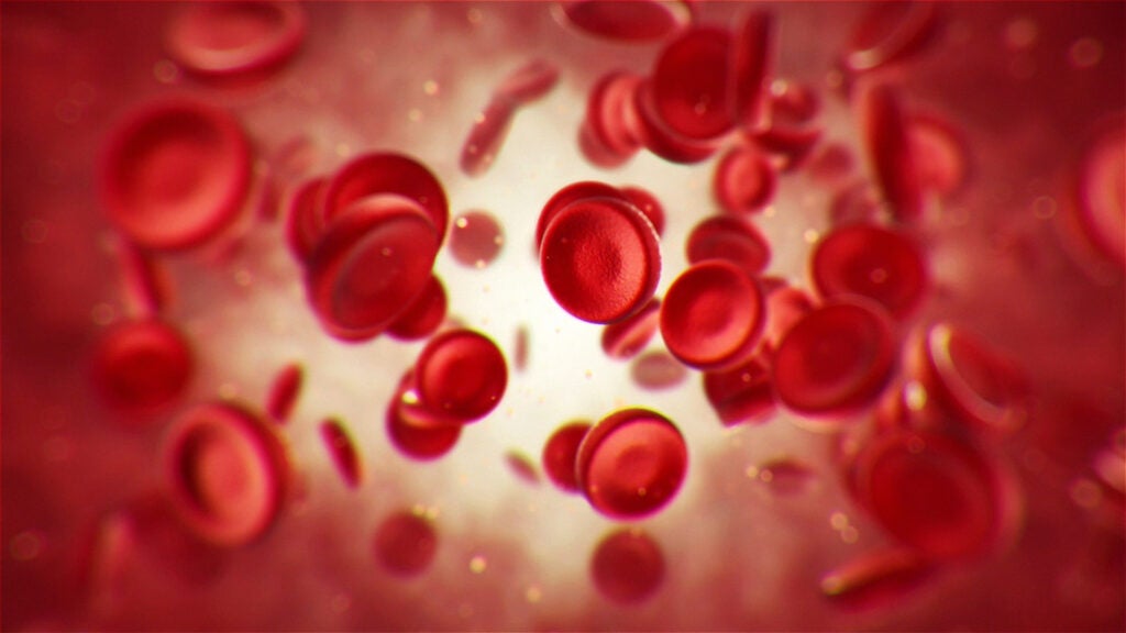 Learn Haematology