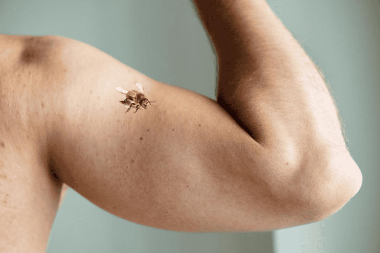 Two sensations may be perceived when nociceptors are activated: pain and itch.  