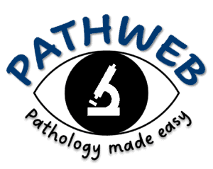 Pathweb MediXperience logo for medical and healthcare event at NUS.