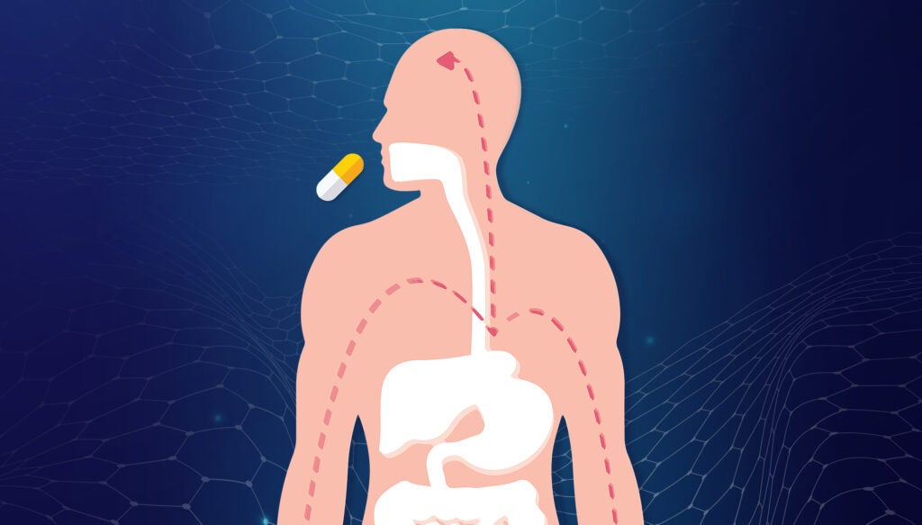 Pharmacokinetics Visualiser