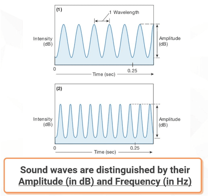 Sound Waves
