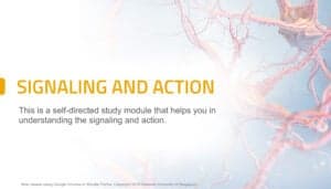 Signaling and Action is a self-directed learning module covering neural signaling, action and sensation for medical learners.
