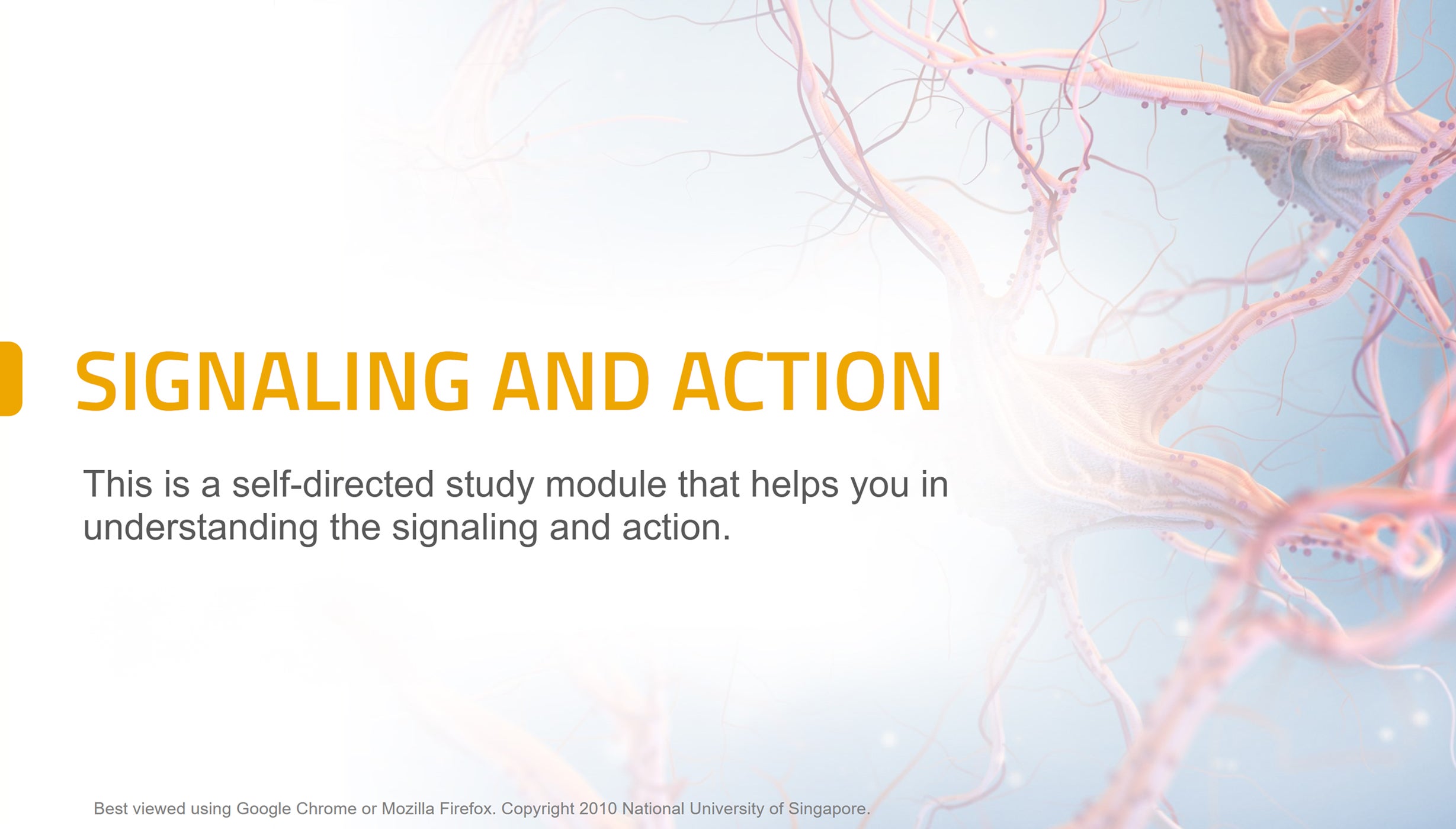 Signaling and Action is a self-directed learning module covering neural signaling, action and sensation for medical learners.