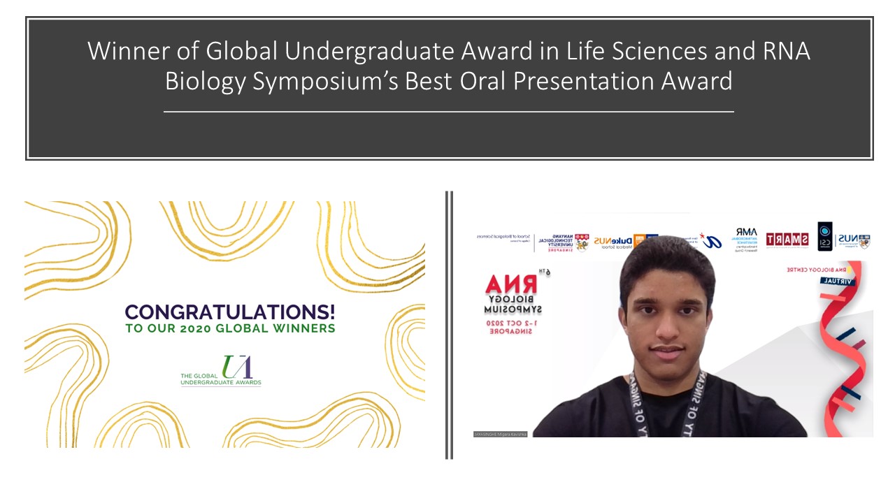 Winner of Global Undergraduate Award in Life Sciences and RNA Biology