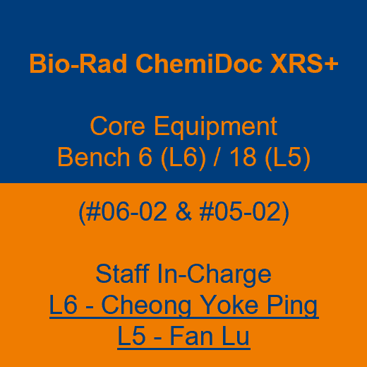 Label - Bio-Rad ChemiDoc