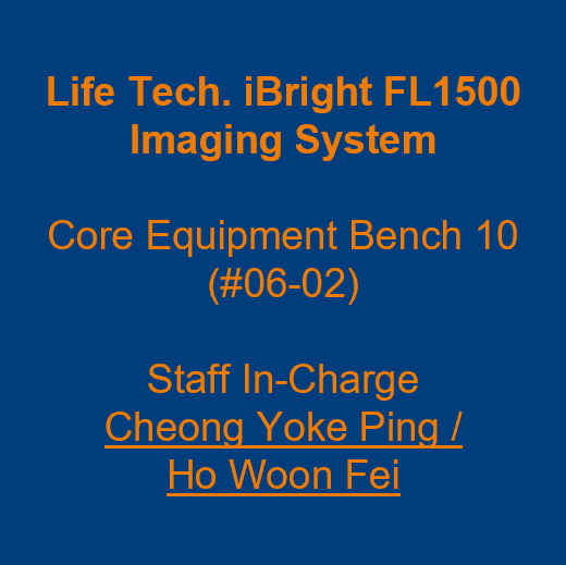 Label - Life Tech iBright FL1500 Imaging System