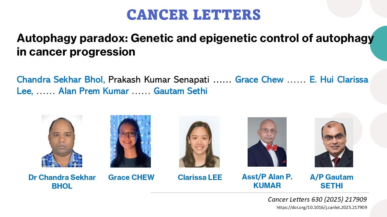 Autophagy paradox: Genetic and epigenetic control of autophagy in ...