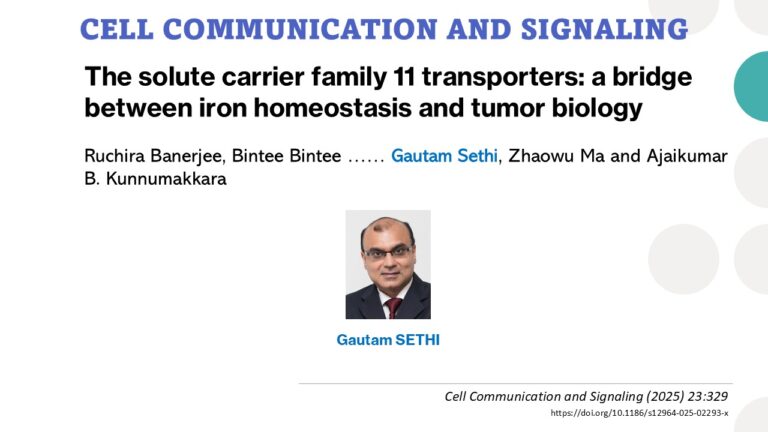 The solute carrier family 11 transporters: a bridge between iron ...
