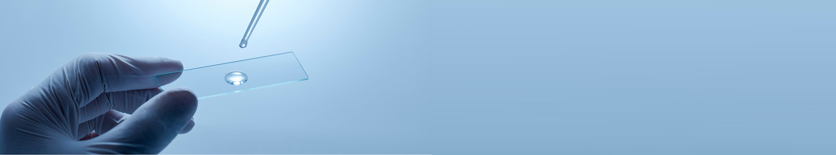 Executive and Graduate Certificates Banner