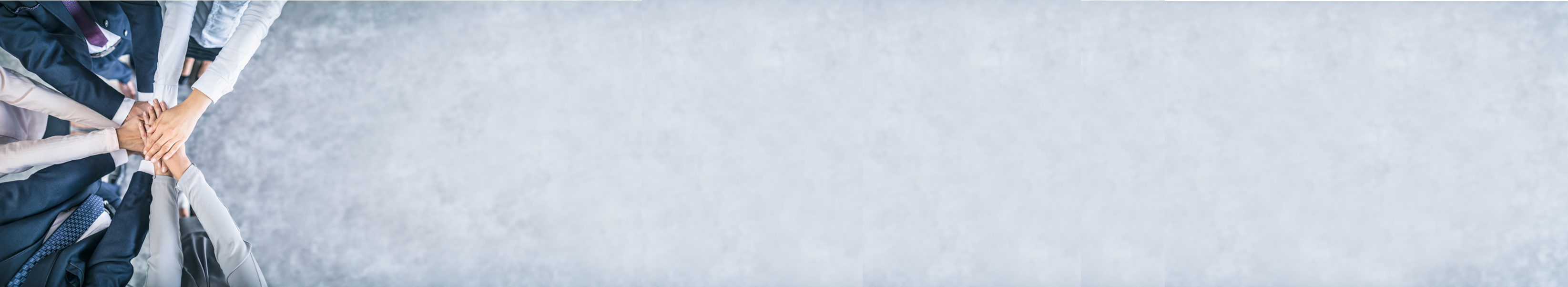 Meet The Team Banner