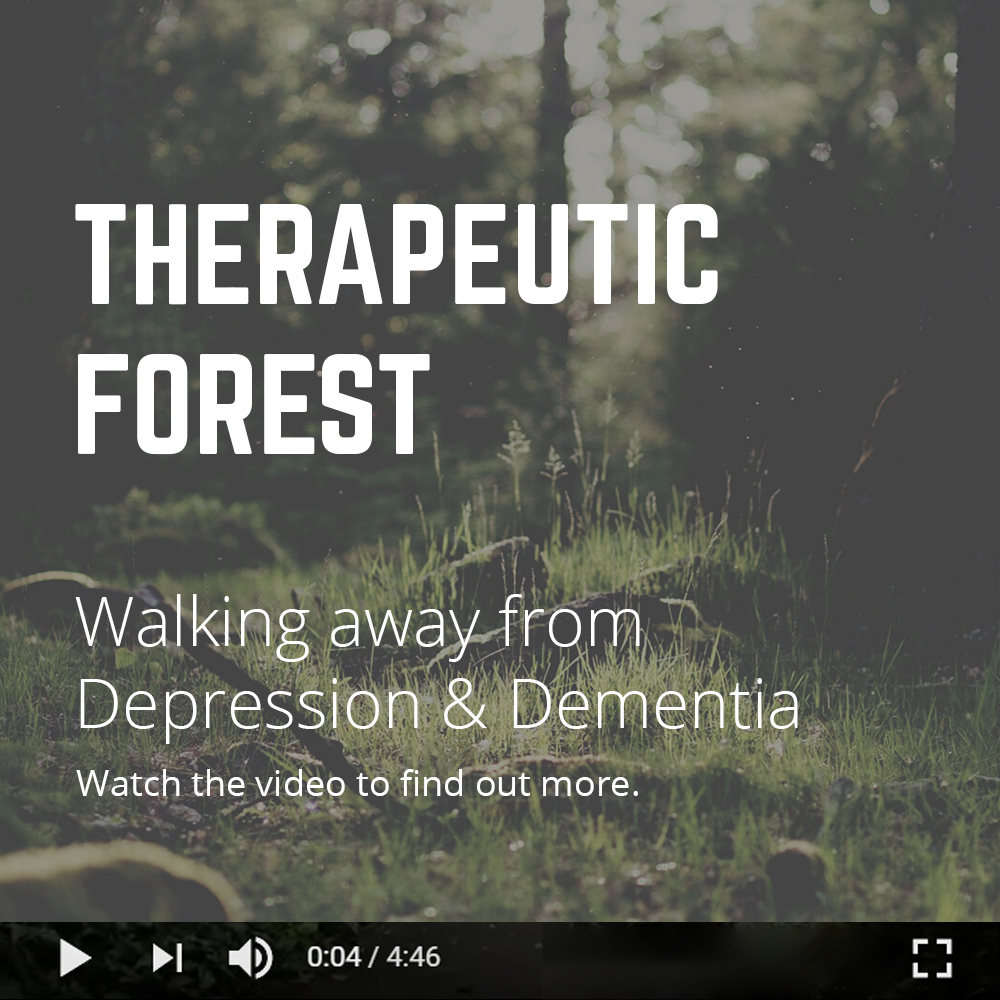 Therapeutic Forest: Walking Away From Depression & Dementia