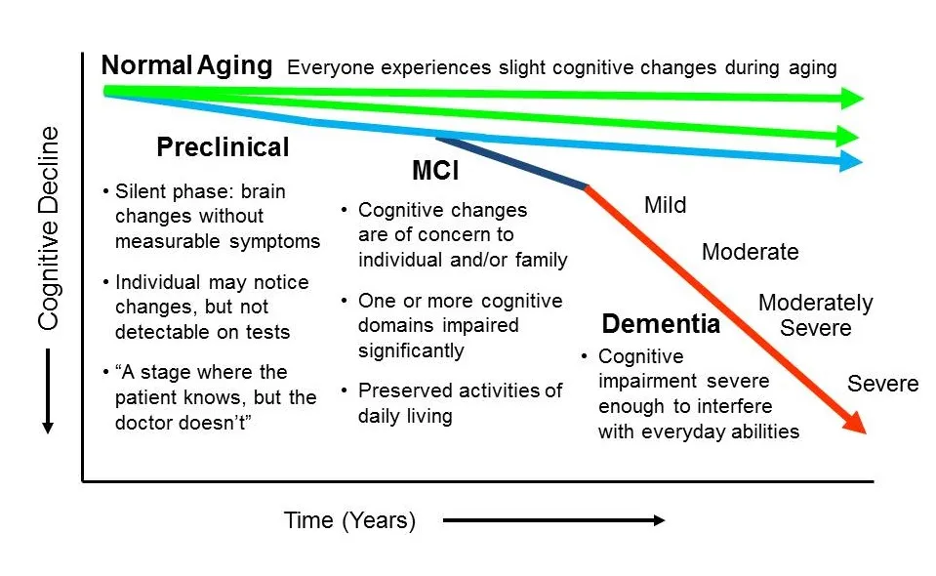 Difference in cognitive function decline in normal ageing, MCI, and Dementia