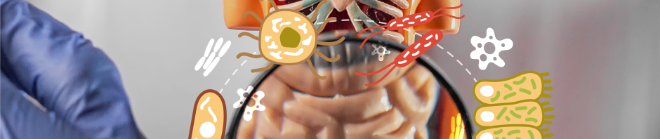 research found mindfulness improve cognitive function and gut microbiome bacteria abundance