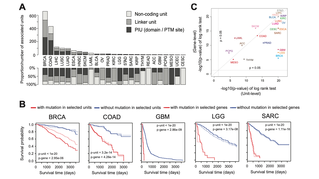 Pan Cancer Analysis Of Exome Mutation Data Nuhs Centre Grant