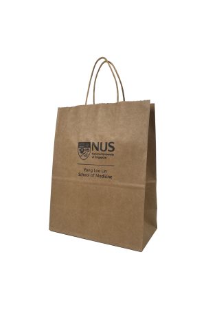 School Paper Bag (Medium)