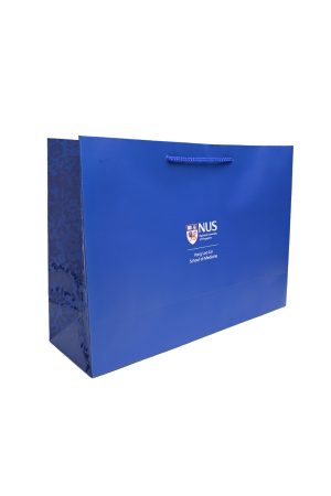 Vanda NUS Medicine Gift Bag (Large)