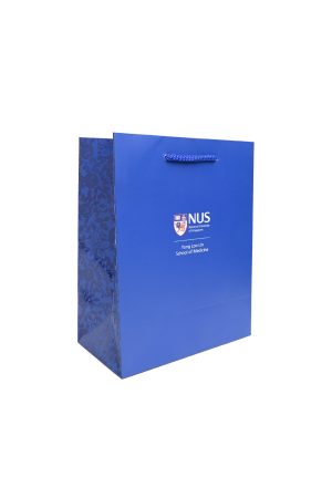 Vanda NUS Medicine Gift Bag (Medium)