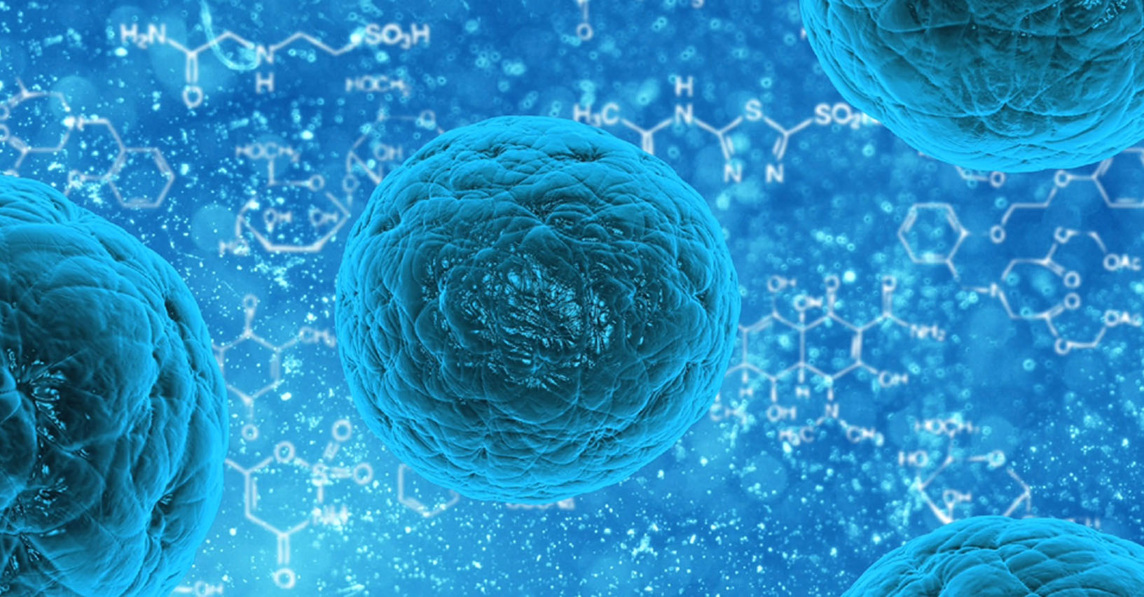Stem Cells Biology and Therapy