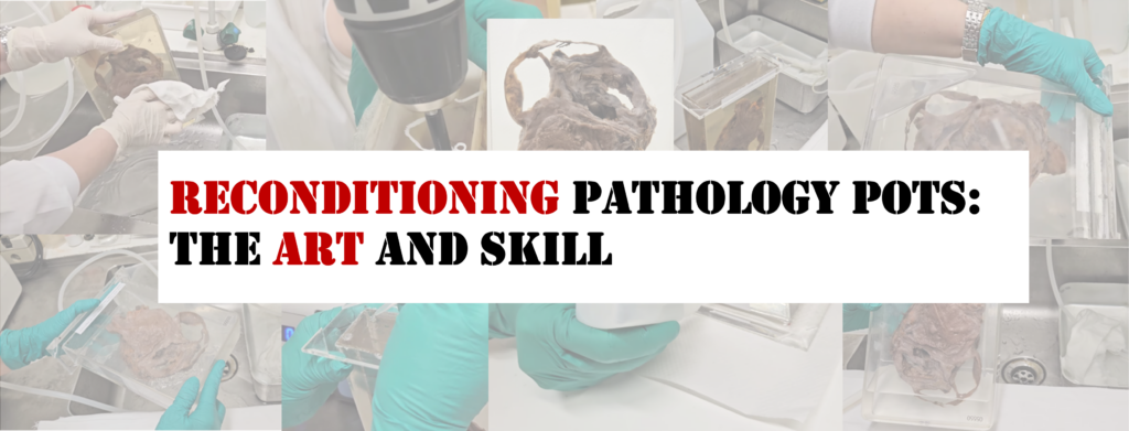 Pathweb - NUS Pathology