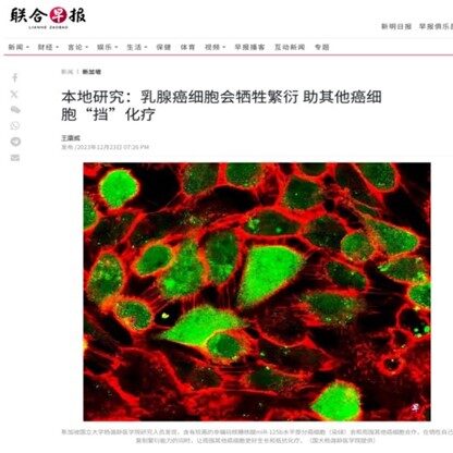 05a - Lianhe Zaobao Report (24 Dec 2023) (Thumbnail).jpeg