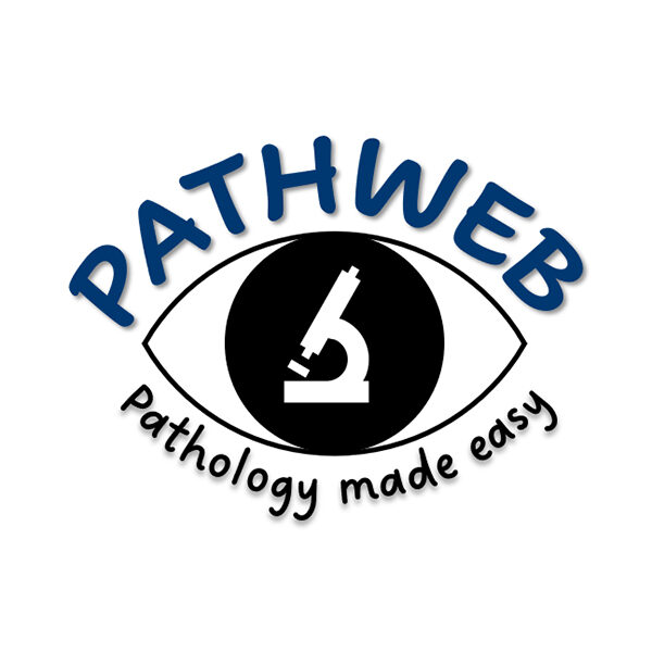 Pathweb_square