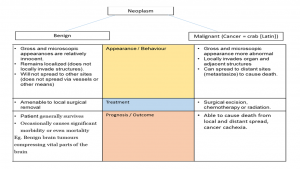 general-features-b-vs-m2