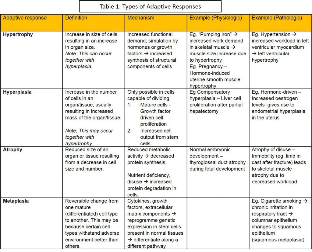 I. Cell Adaptation – NUS Pathweb :: NUS Pathweb