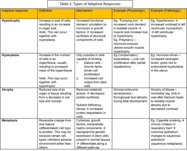 I. Cell Adaptation – NUS Pathweb :: NUS Pathweb