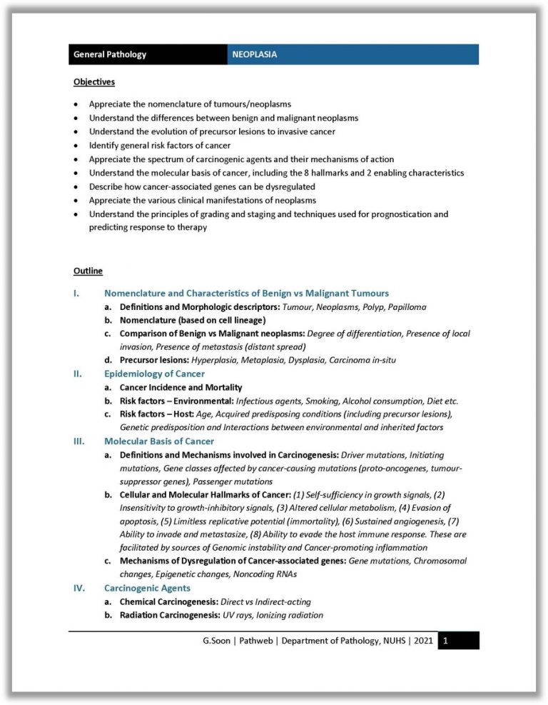 Neoplasia Study Notes And One Page Summary NUS Pathweb NUS Pathweb