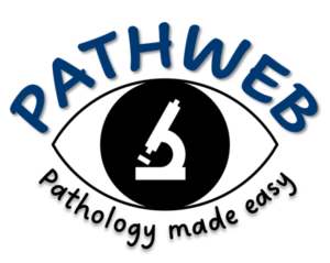 NUS Pathweb NUS Pathweb