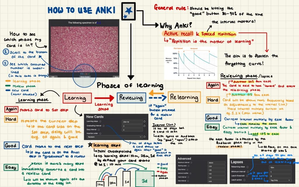 Test Yourself: Quiz – NUS Pathweb :: NUS Pathweb
