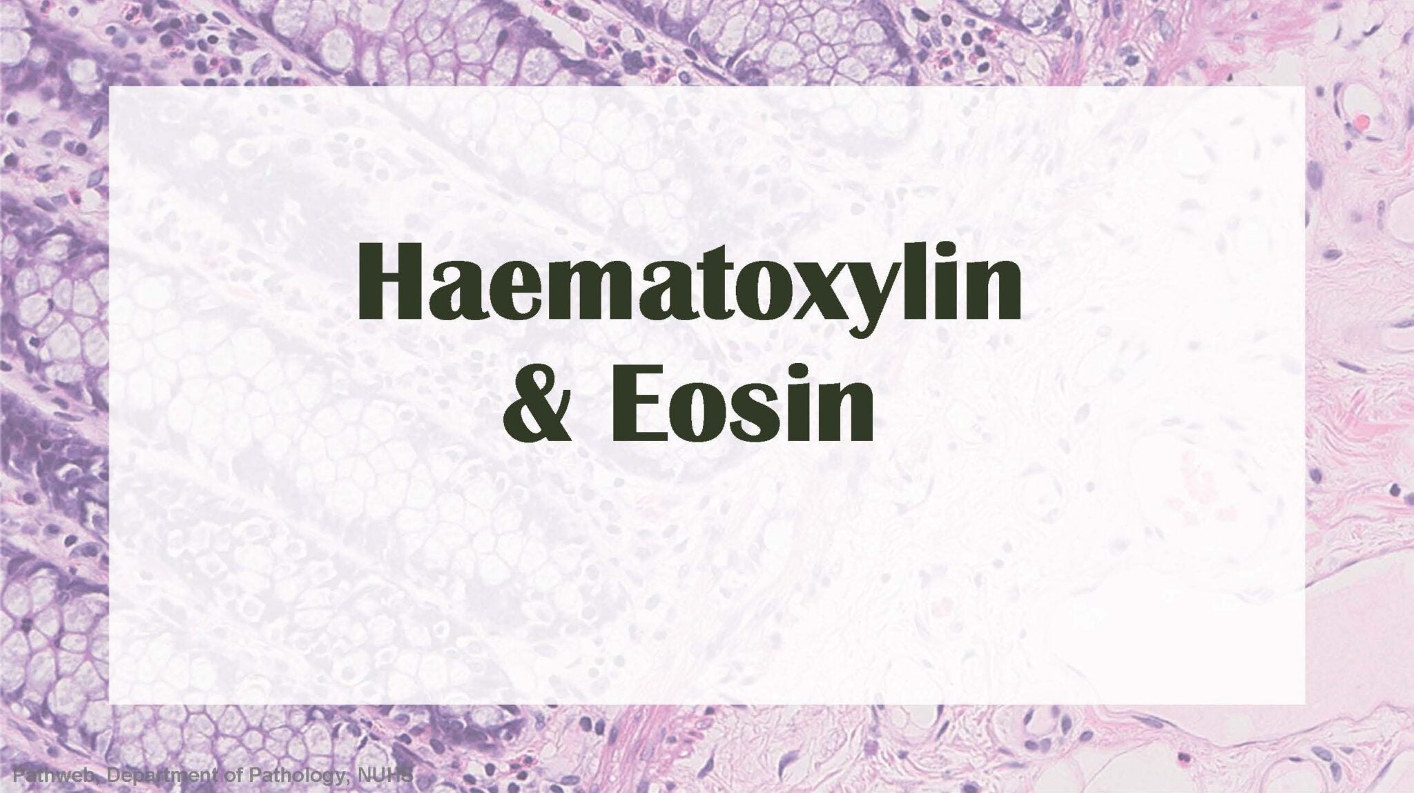 CME presentation _HE STAIN_icon