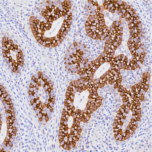 pathology_panel_6_separate