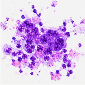 pathology_panel_7_separate