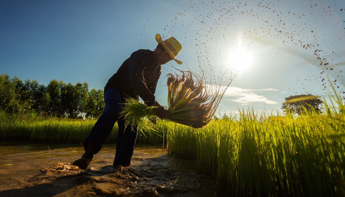 Jason Lee was featured on GovInsider