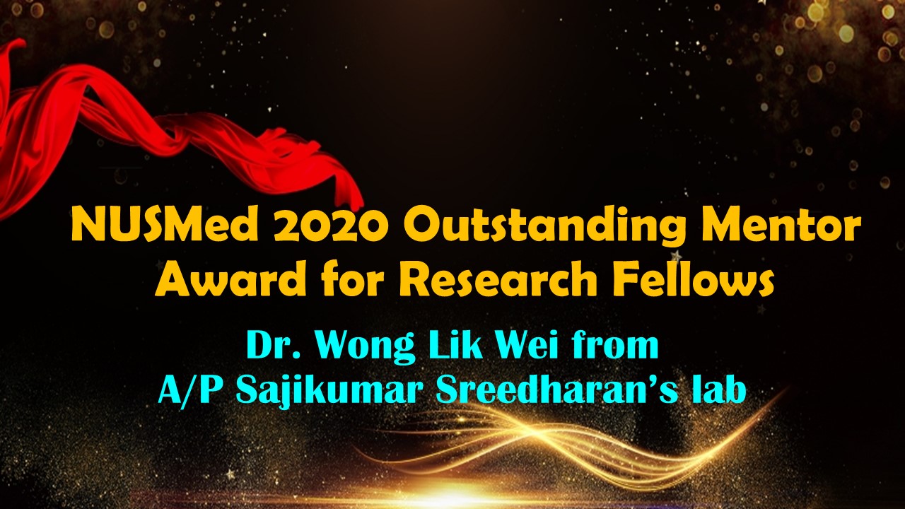 NUSMed 2020 Outstanding Mentor Award for Research Fellows