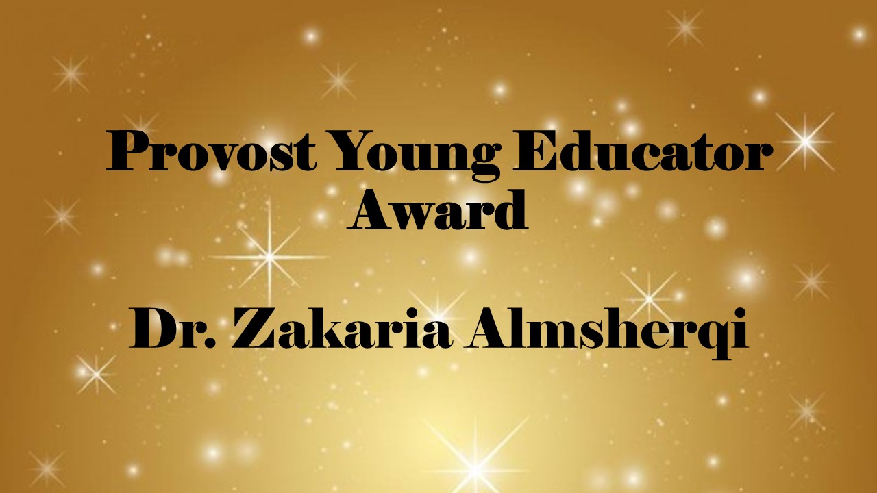 Provost Young Educator Award