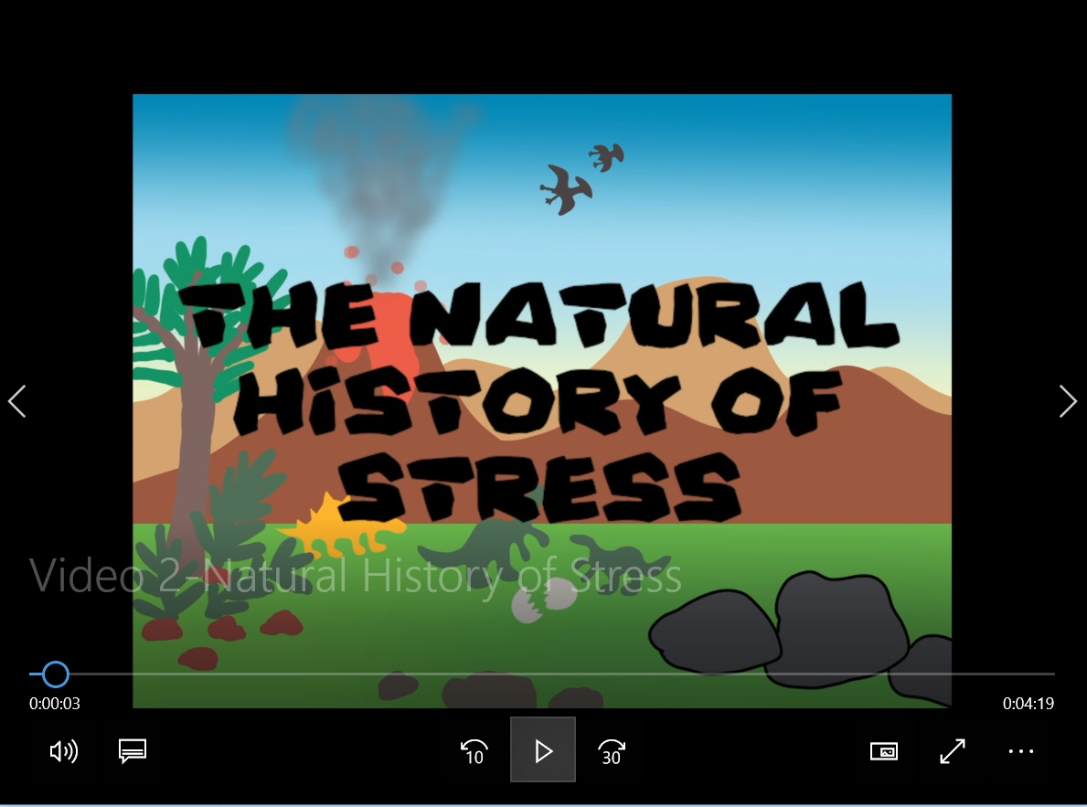 Video 2. Natural History of Stress