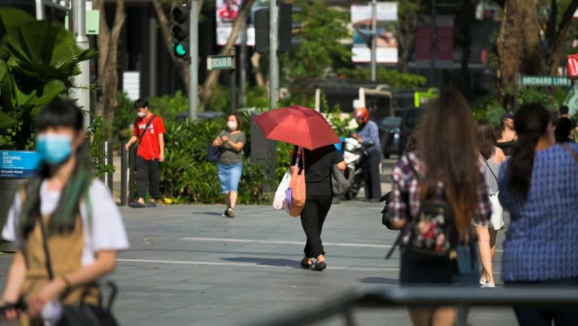 Extreme hot weather can affect sperm count, concentration of Singapore ...