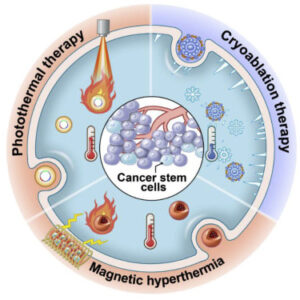 Nanomaterial-Mediated Ablation Therapy For Cancer Stem Cells - Nanomedicine