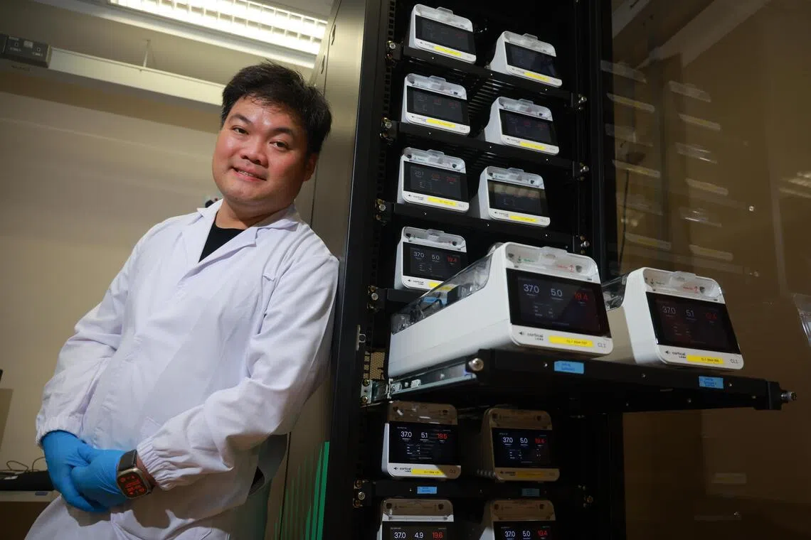 Forget silicon chip servers, Singapore’s newest data centre needs to be fed