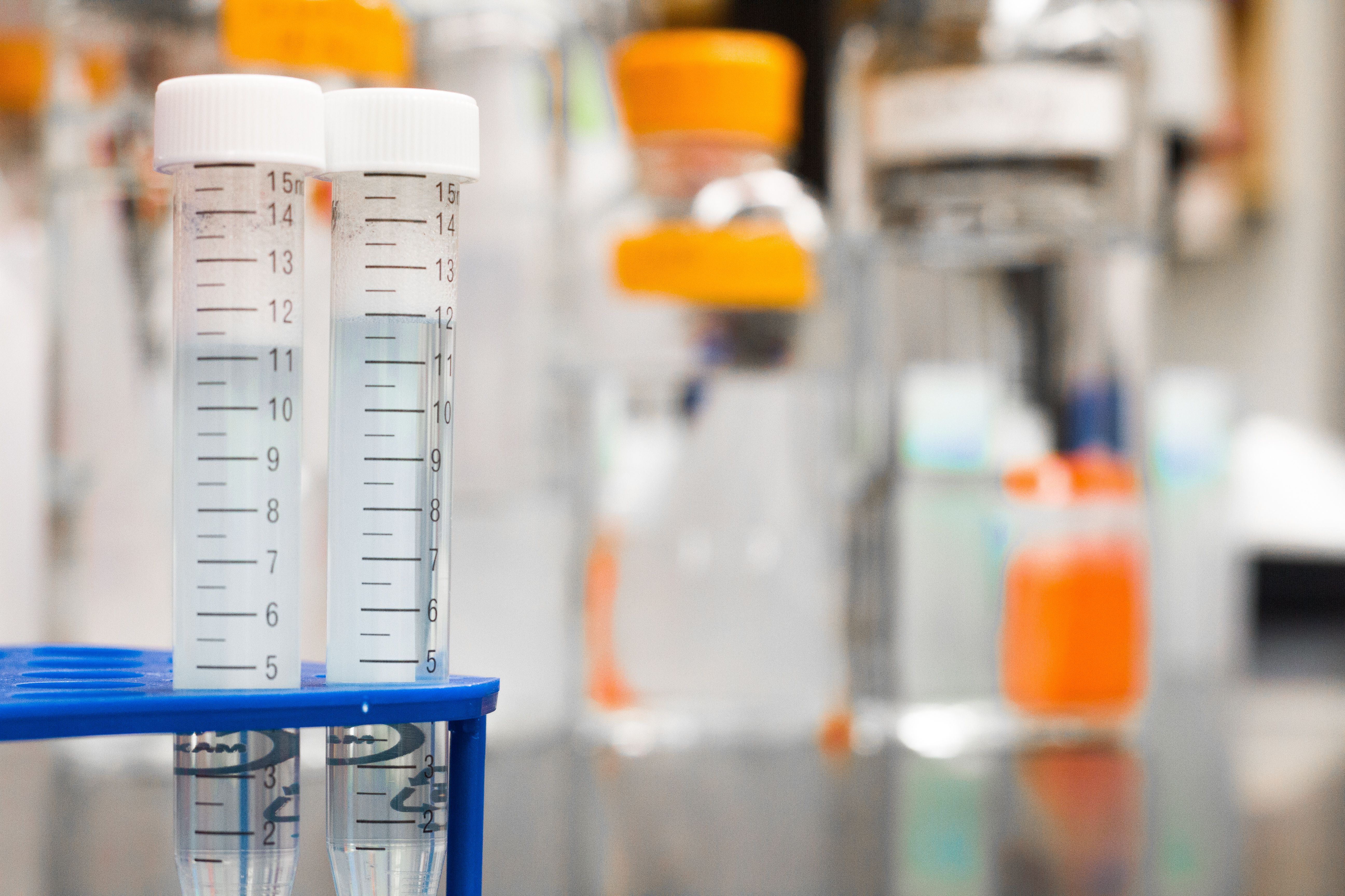 Lab