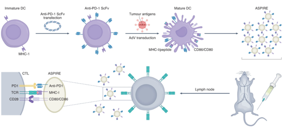 Nanovaccine - Nanomedicine