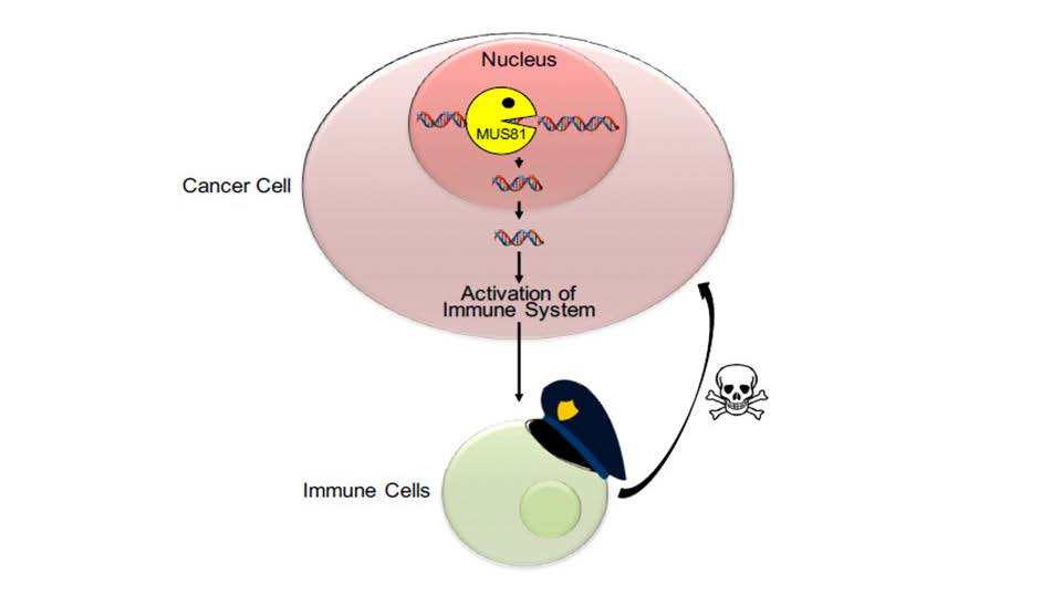 newsinfomain nucleardna 0516